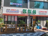 정일품