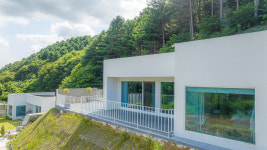 머스트화이트