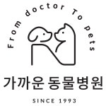 가까운동물병원