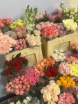 꽃담 아트몰링부산점
