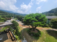 느티나무 펜션