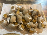 진달래산천