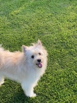 광미산