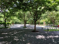 횡성산울림오토캠핑장