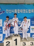 용인대 타이거즈 태권도