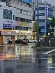 쌍방울애견전시장