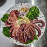 미송백반 녹동