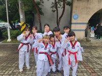용인대 타이거즈 태권도