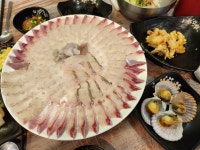 두리두리 활어회 무거점 DURIDURI Fish