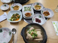 청송능이한방백숙