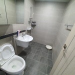 바닷가하얀목화밭