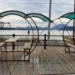 바닷가하얀목화밭