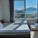 바닷가하얀목화밭