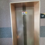 바닷가하얀목화밭