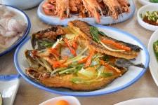동성회센타