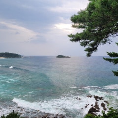 찬양의 교회