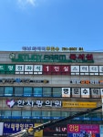 하남 와이어 주짓수