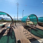 바닷가하얀목화밭