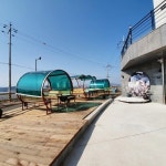 바닷가하얀목화밭