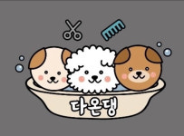 다온댕