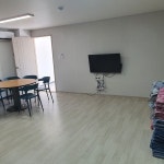 바닷가하얀목화밭