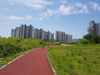 예미지일등공인중개사사무소