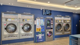화이트365 구미원호점