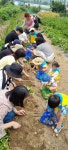 아이조아어린이집
