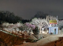이한조경