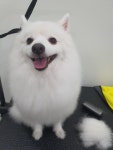 스케치멍