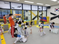 용인대대영태권도