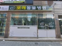 포레동물병원