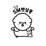 SM펫살롱
