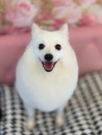 오늘더예쁘게