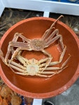 가져가시게