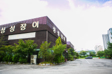 싱싱장어