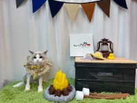 뷰티나개예쁜냥