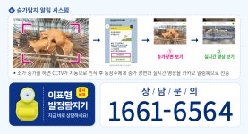 한국아이오티