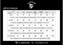 에프엘 디테일링 손세차