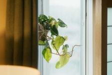 스튜디오 오다가다