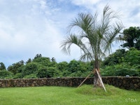 제주베네핏 스테이