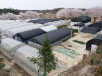 뉴란바이오