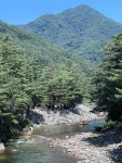 샘골솔밭야영장