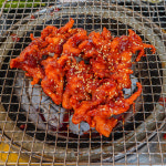 쭈닭