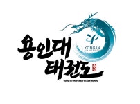 용인대태권도