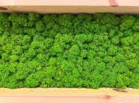 학습코칭연구소연세학원