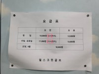 필스크린골프