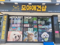 모야애견