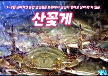 찜집