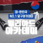 빌리아드아카데미